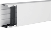 Bodemprofiel+deksel LFH 60x110 RAL9016 verkeerswit afbeelding 2