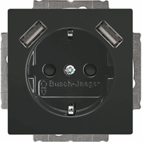 ABB BUSCH- 20 EUCB2USB-81 WCD RA KV + 2XUSB-A F-ANTR afbeelding 2
