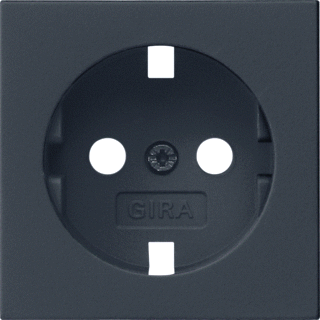 Gira inzetplaat voor wandcontactdoos met randaarde zwart (4920005)