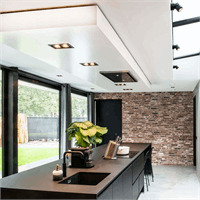 Wit trimless armatuur inbouw voor AR111 LED spot draaibaar en kantelbaar wordt volledig in het stucwerk gemonteerd