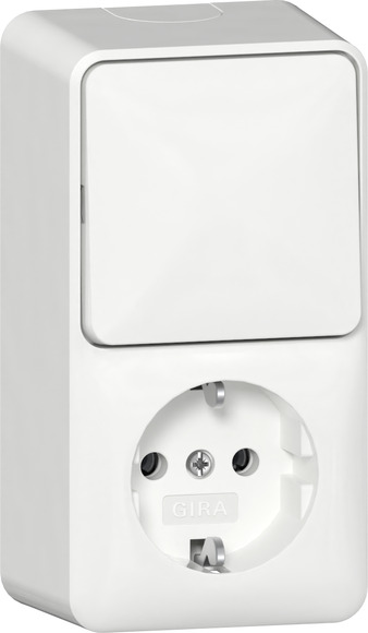 Gira opbouw Combinatie Wandcontactdoos +RA Wisselschakelaar met montageplaat zuiver wit 417614 afbeelding 2