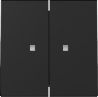 Gira System 55 Wip&nbsp;2-voudig&nbsp;met&nbsp;controlevenster&nbsp;zwart&nbsp;mat&nbsp; 3631005 afbeelding 2