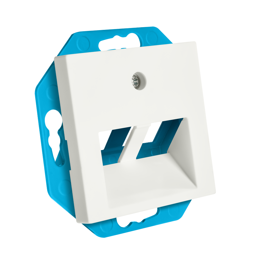 ION Modular Jack 30° 2-voudig met Centraalplaat V1/J1 Mat Alpin Wit afbeelding 2