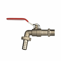 Bpe tapkraan vernikkeld 1/2" met 3/4" slangtule