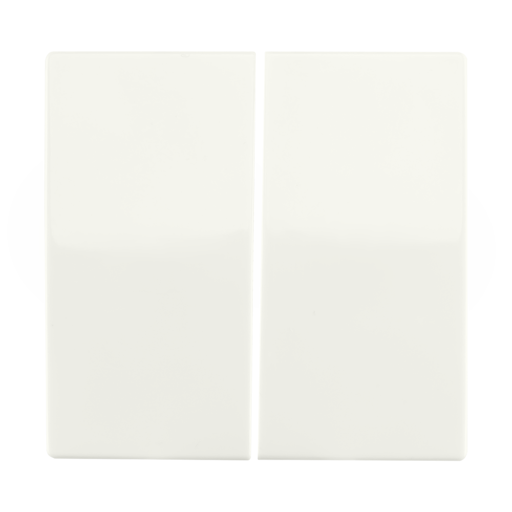 ION Bedieningswip Serieschakelaar V1/J1 Mat Alpin Wit afbeelding 1