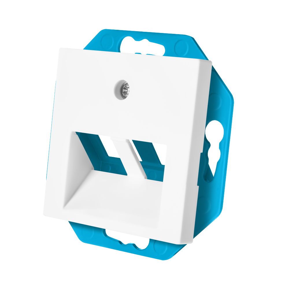 ION Modular Jack 30° 2-voudig met Centraalplaat V1/J1 Alpin Wit afbeelding 3