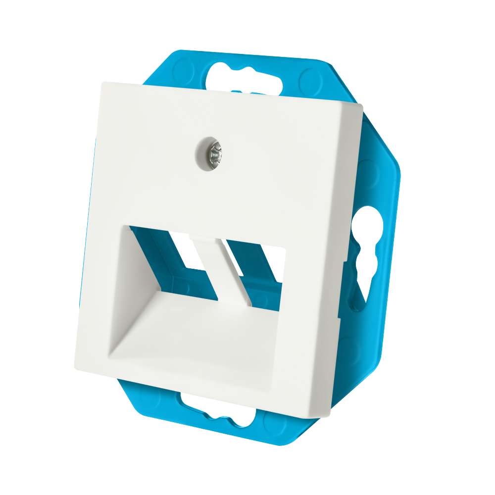 ION Modular Jack 30° 2-voudig met Centraalplaat V1/J1 Mat Alpin Wit afbeelding 3