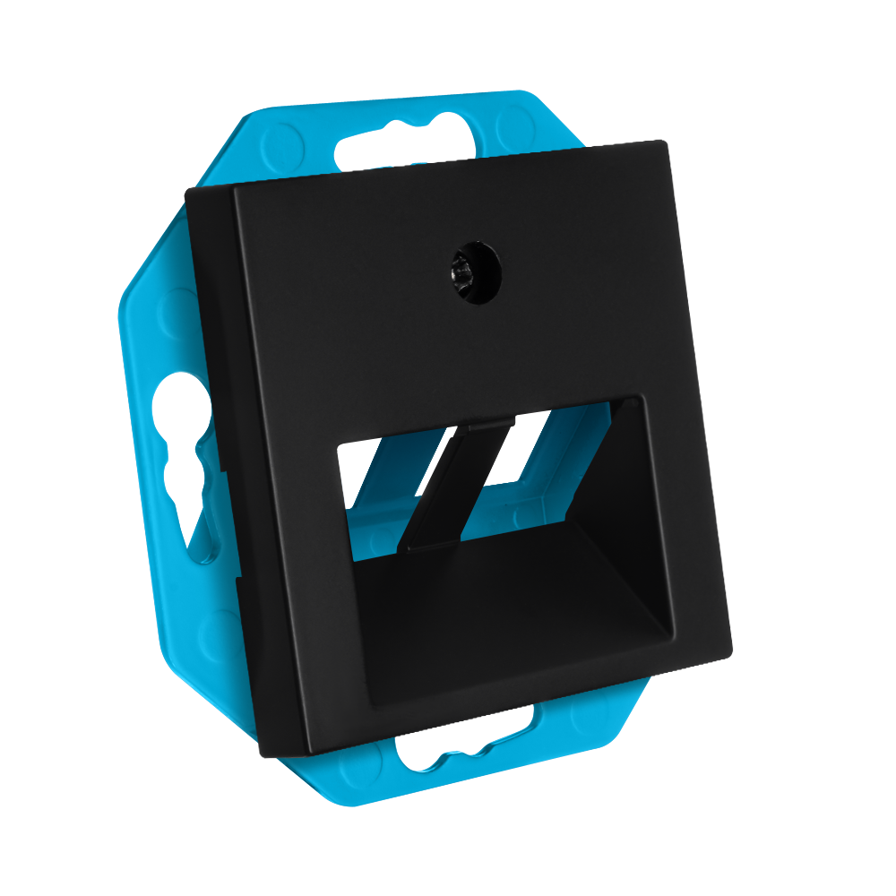 ION Modular Jack 30° 2-voudig met Centraalplaat V1/J1 Mat Zwart afbeelding 2